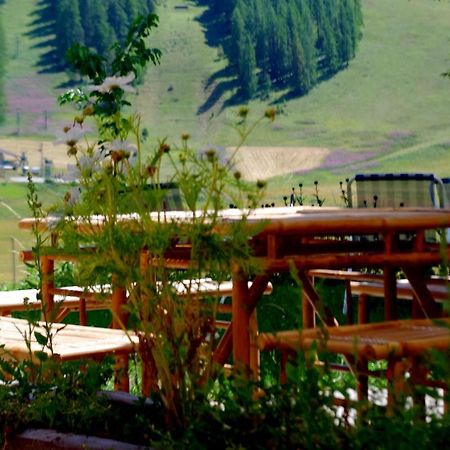 La Chaumiere Apartman Beuil Kültér fotó